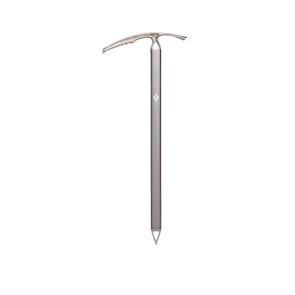 BD isyxa Raven