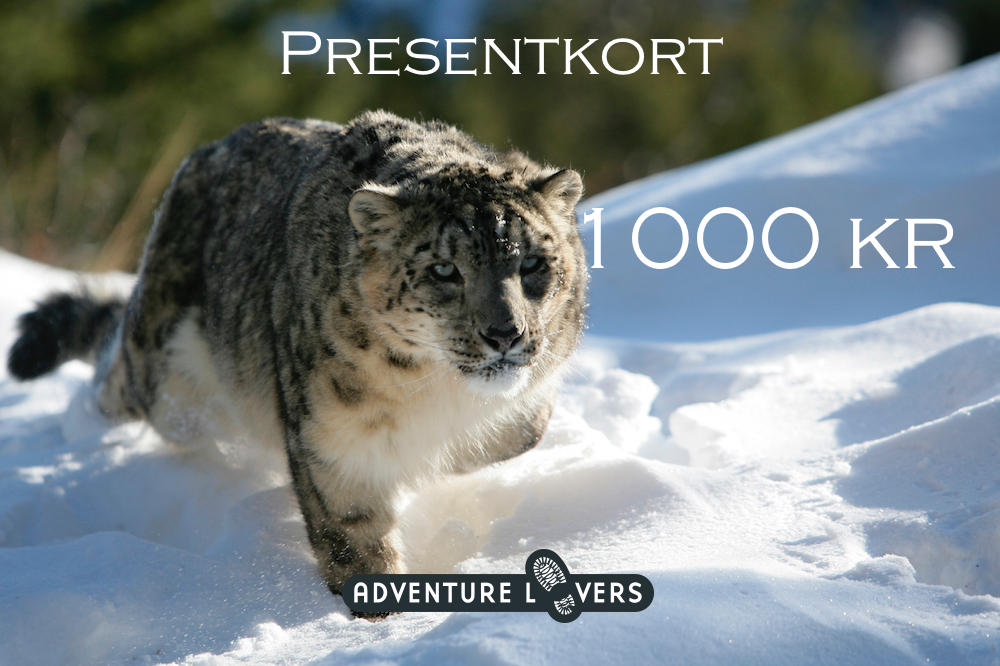 Presentkort - 1000 kr - Adventure Lovers AB