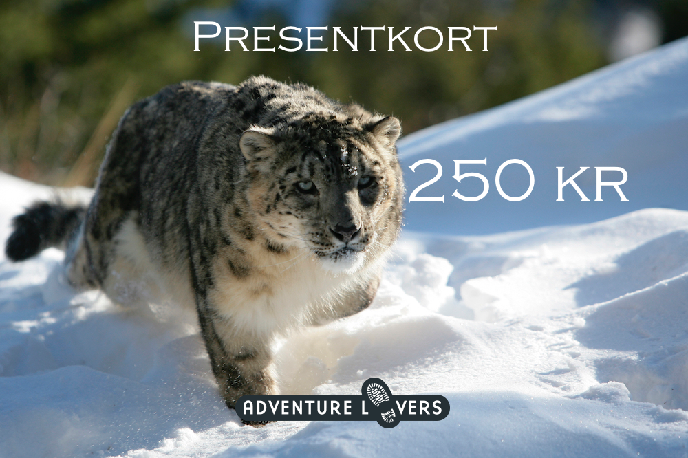 Presentkort - 250 kr - Adventure Lovers AB
